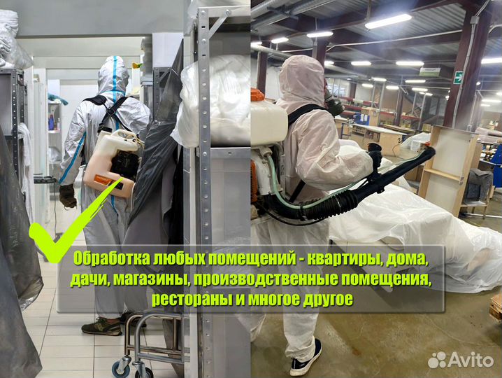 Уничтожение клопов, тараканов, плесени