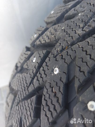 Nexen Winguard WinSpike WS62 SUV 215/70 R16 100T