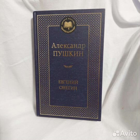 Евгений Онегин / сборник Пушкин