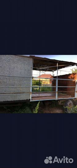 Пчелы пасека