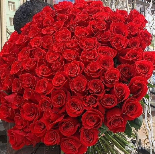 Высокие розы Гигантские розы с доставкой