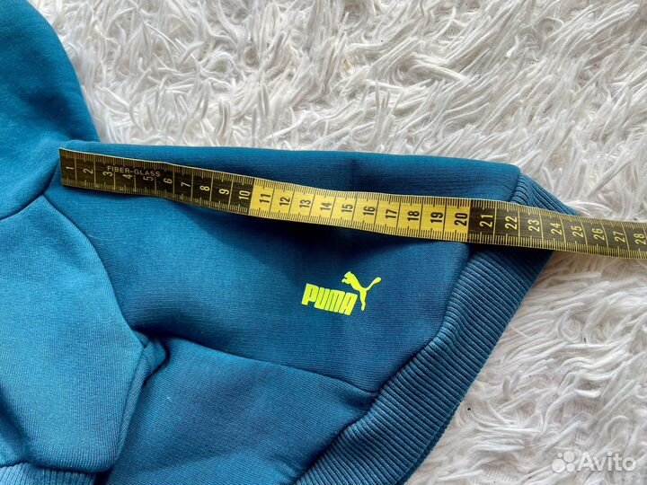 Одежда для собак