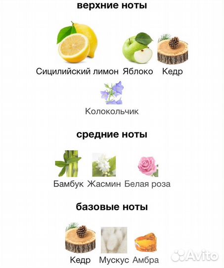 Dolce Gabbana Light Blue D&G парфюм духи женские