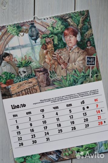 Календарь Гарри Поттер 2024