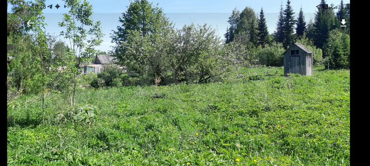 Участок 12 сот. (СНТ, ДНП)