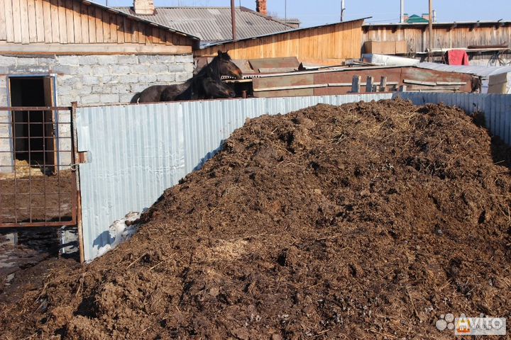 Продам навоз, перегной