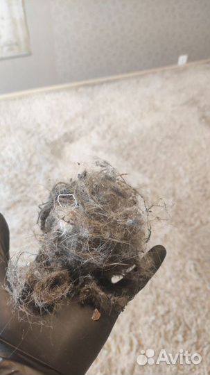 Химчистка ковров, диванов, штор, колясок