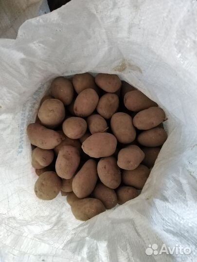 Сельхоз продукт