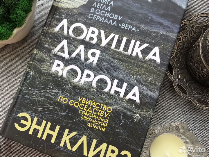 Энн Кливз «Ловушка для ворона»