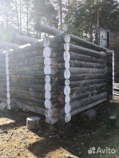 Сруб для бани из сосны 8х3