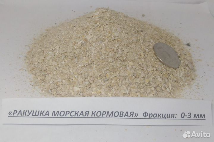 Ракушка морская кормовая оптовые поставки
