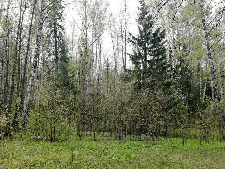 Участок 15 сот. (ИЖС)