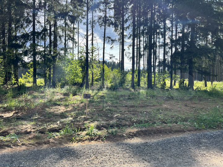 Участок 7 сот. (ИЖС)