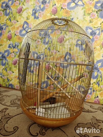 Клетка для попугая