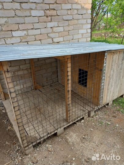 Собачья будка