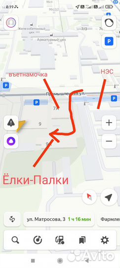 Евровагонка хвоя