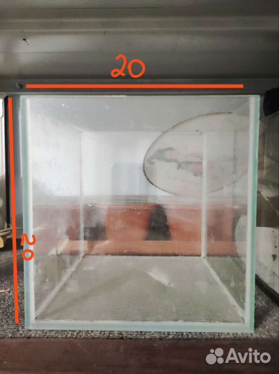 Аквариум аквариумы фильтры для аквариума