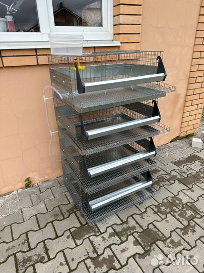 Клетка для перепелов 4 яруса
