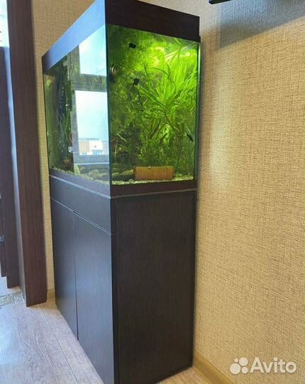 Аквариум с тумбой 100л