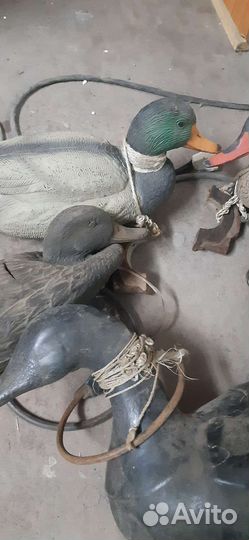 Утки подсадные для охоты