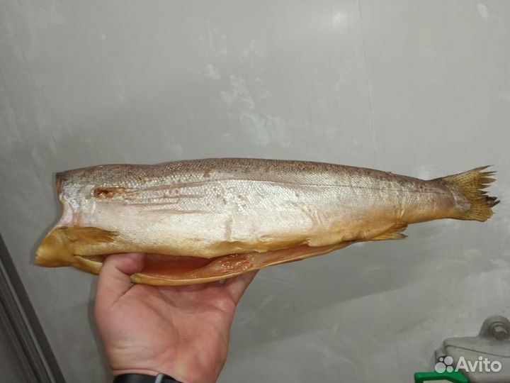 Рыба вяленая, х.копчения, св.мороженая