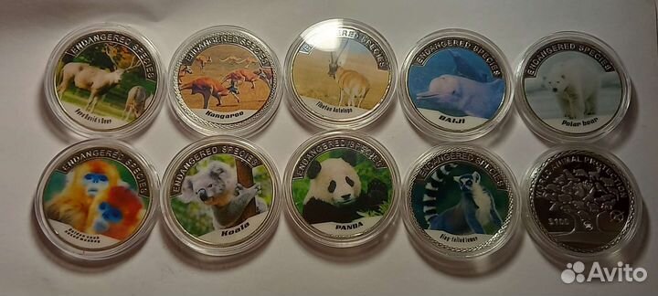 Фауна.наборы.красная книга.панда.коала.медведь