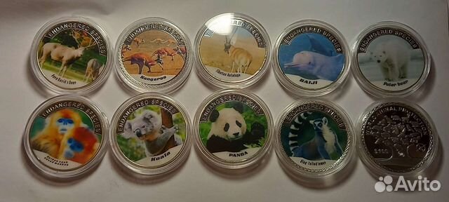 Фауна.наборы.красная книга.панда.коала.медведь