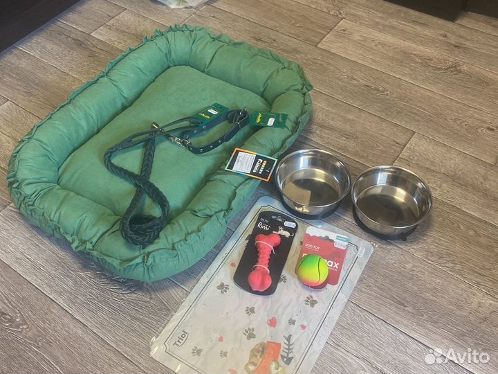 Принадлежности для собаки