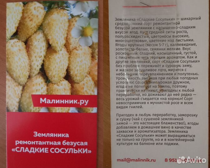 Семена овощей