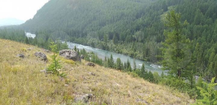 Участок 42,9 га (СНТ, ДНП)