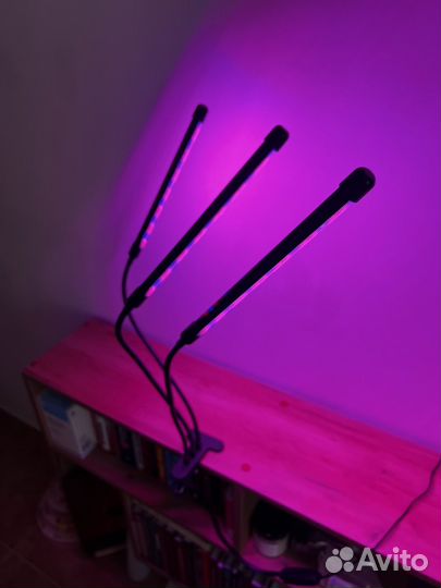Фитолампа для растений