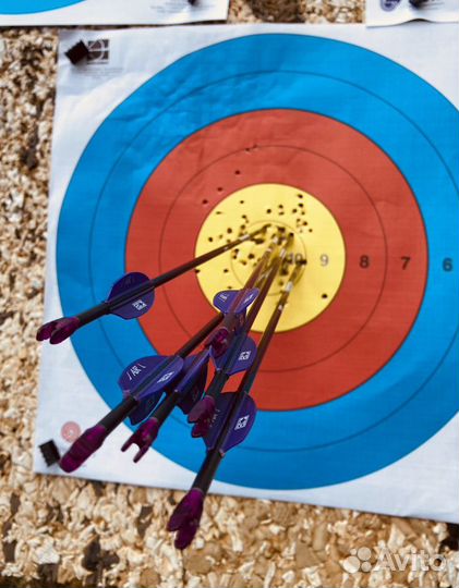 Стрельба из лука (частный тренер)