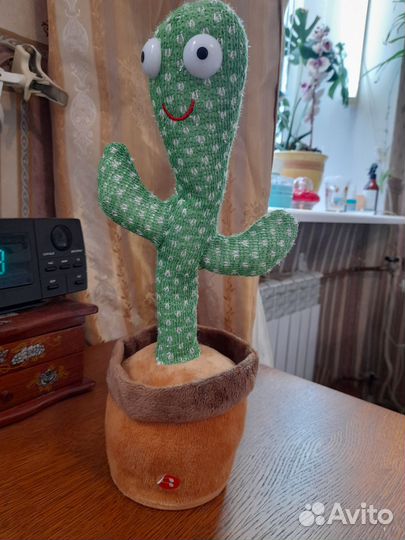 Поющий кактус