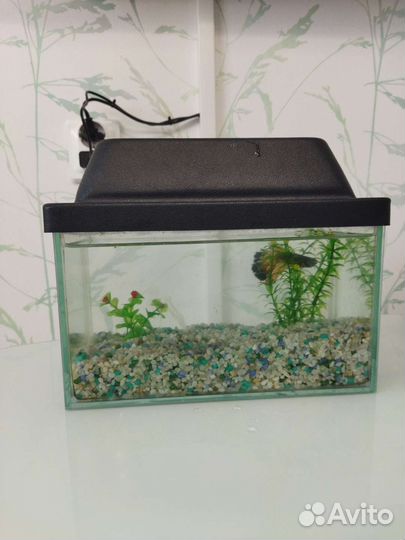 Аквариум