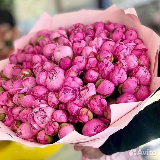 Пионы Цветы Доставка