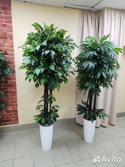 Дерево Манго искусственное цветок домой деревья