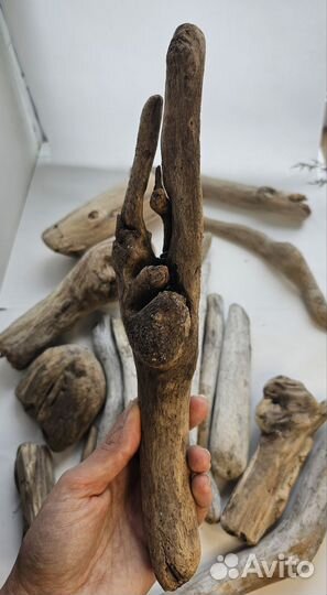 Дрифтвуд, плавун, коряги набор от 11 до 32 см