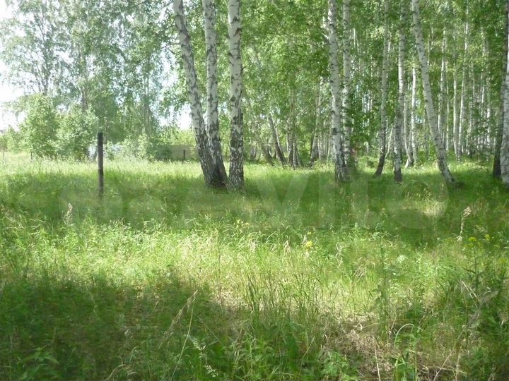 Участок 10,5 сот. (ИЖС)