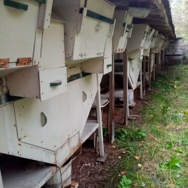 Продаю клетки для кроликов