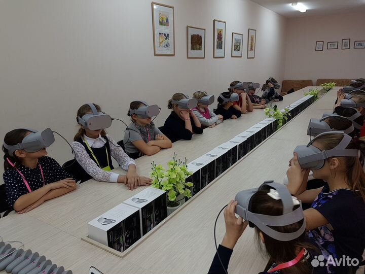 Oculus GO
