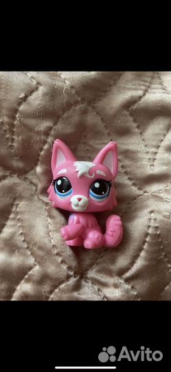Littlest Pet Shop для доставки