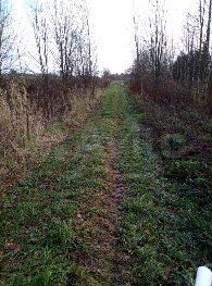 Участок 11,5 сот. (ИЖС)