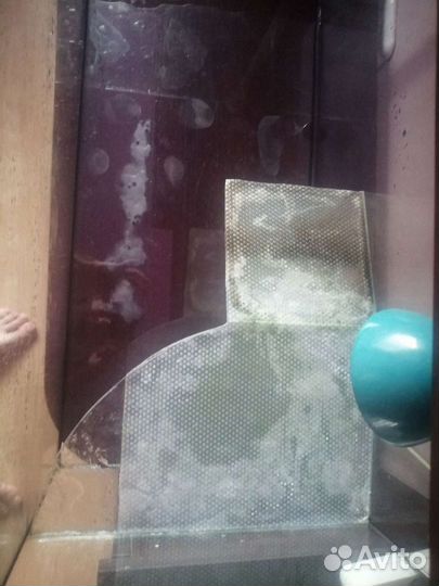 Террариум для красноухой черепахи