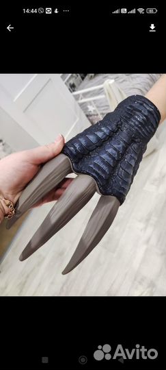 Лапы динозавра