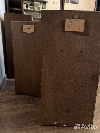 Акустическая система вега 50ас-106