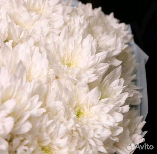 Цветы букеты хризантема