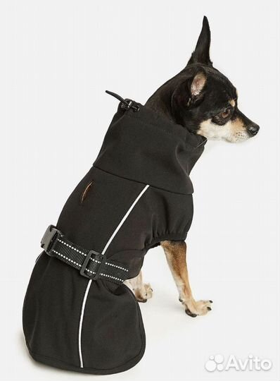 Попона для собаки