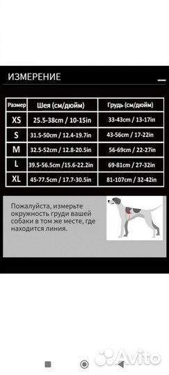 Шлейка для собаки