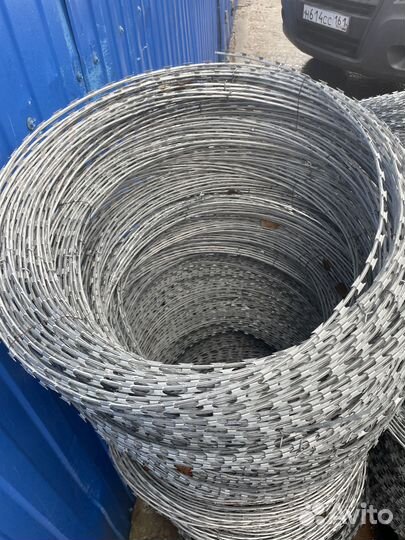 Колючая проволока егоза