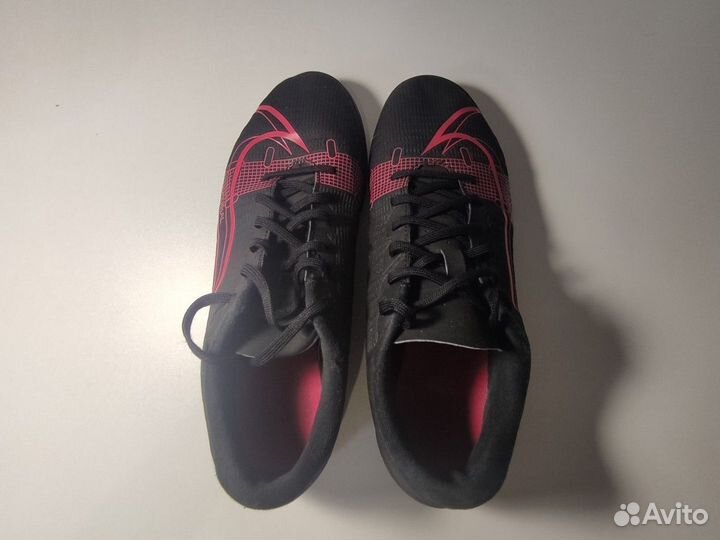 Сороконожки